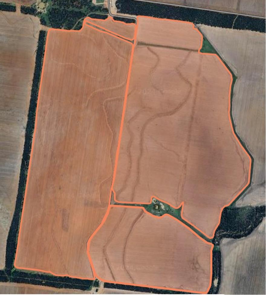 Figure 3 - Current layout of neighbouring paddocks