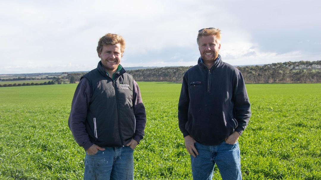 Brothers Will (left) and Charlie Langley are building on the solid foundation of a raised-bed, controlled traffic farming system that has allowed their family to better use low-lying areas on their farm near Winchelsea, in Victoria’s southwest high rainfall zone.